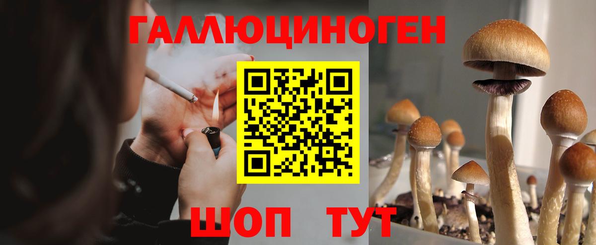 Когалым  Псилоцибиновые грибы мицелий  Вход с VPN  Псилоцибиновые грибы GOLDEN TEACHER 