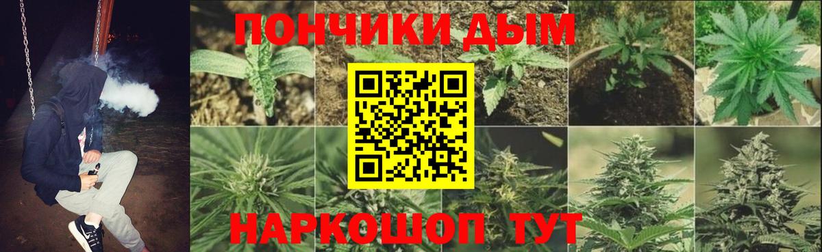 Конопля гибрид  Шишки марихуана планчик  Когалым  МАРИХУАНА конопля  Вход с VPN 
